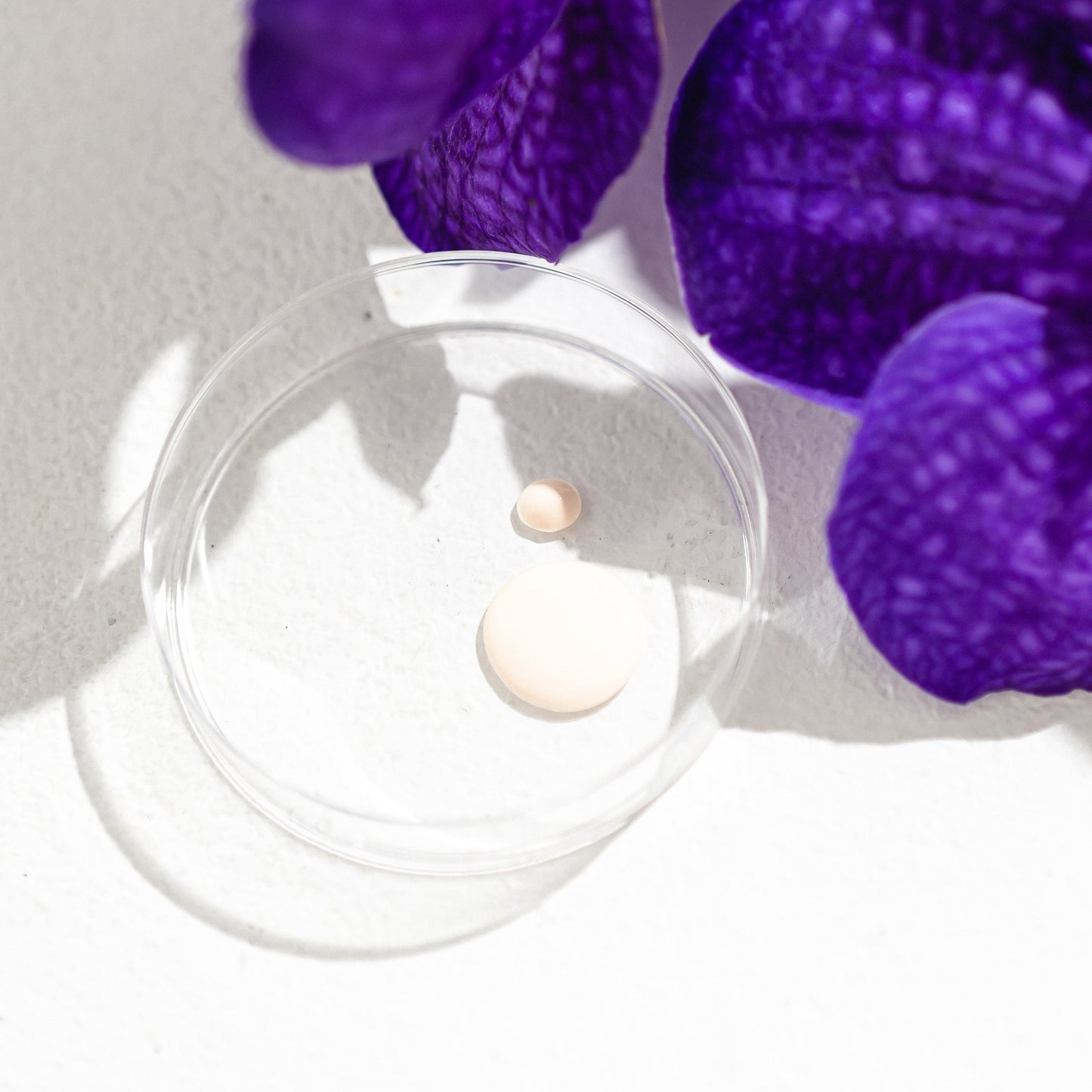 【ギフトパッケージ】デイケアUVセラム(day care UV serum)ギフト包装